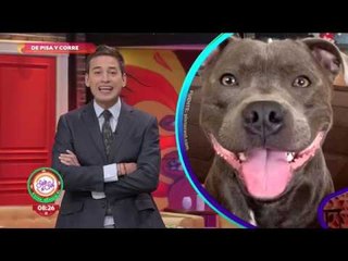 ¡Dos mujeres se robaron los platos de un perrito! | Sale el Sol