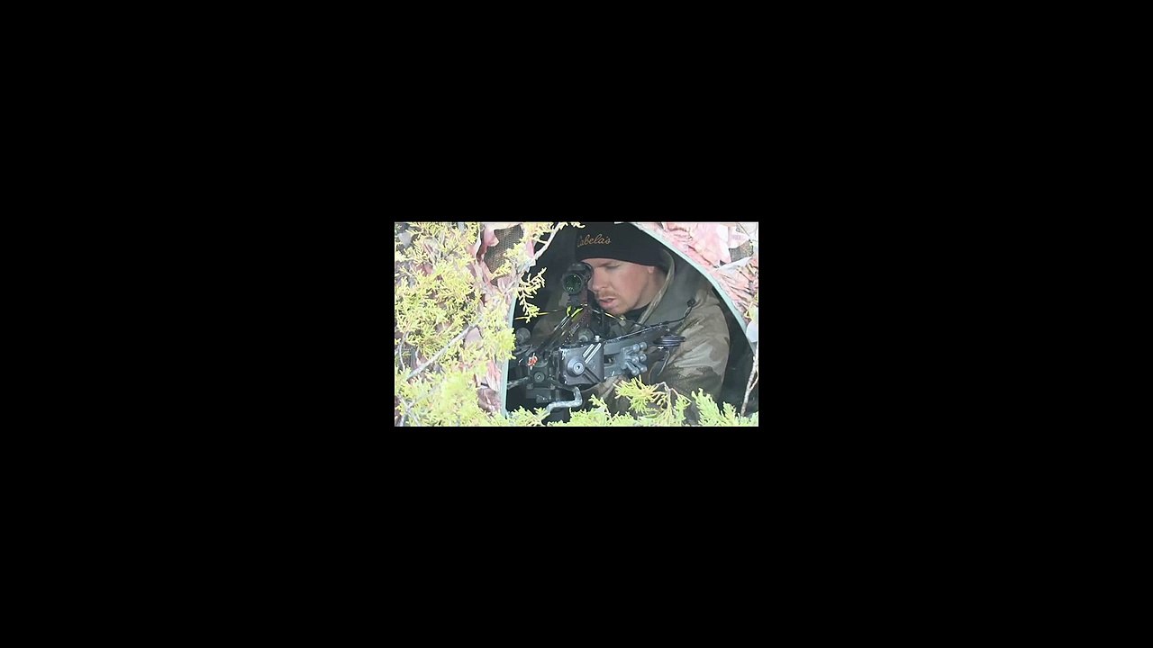 Best Crossbow Reviews