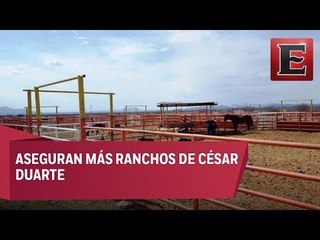 Aseguran otros cuatro ranchos a César Duarte