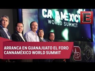 México llega tarde al mercado de la mariguana medicinal, asegura Vicente Fox