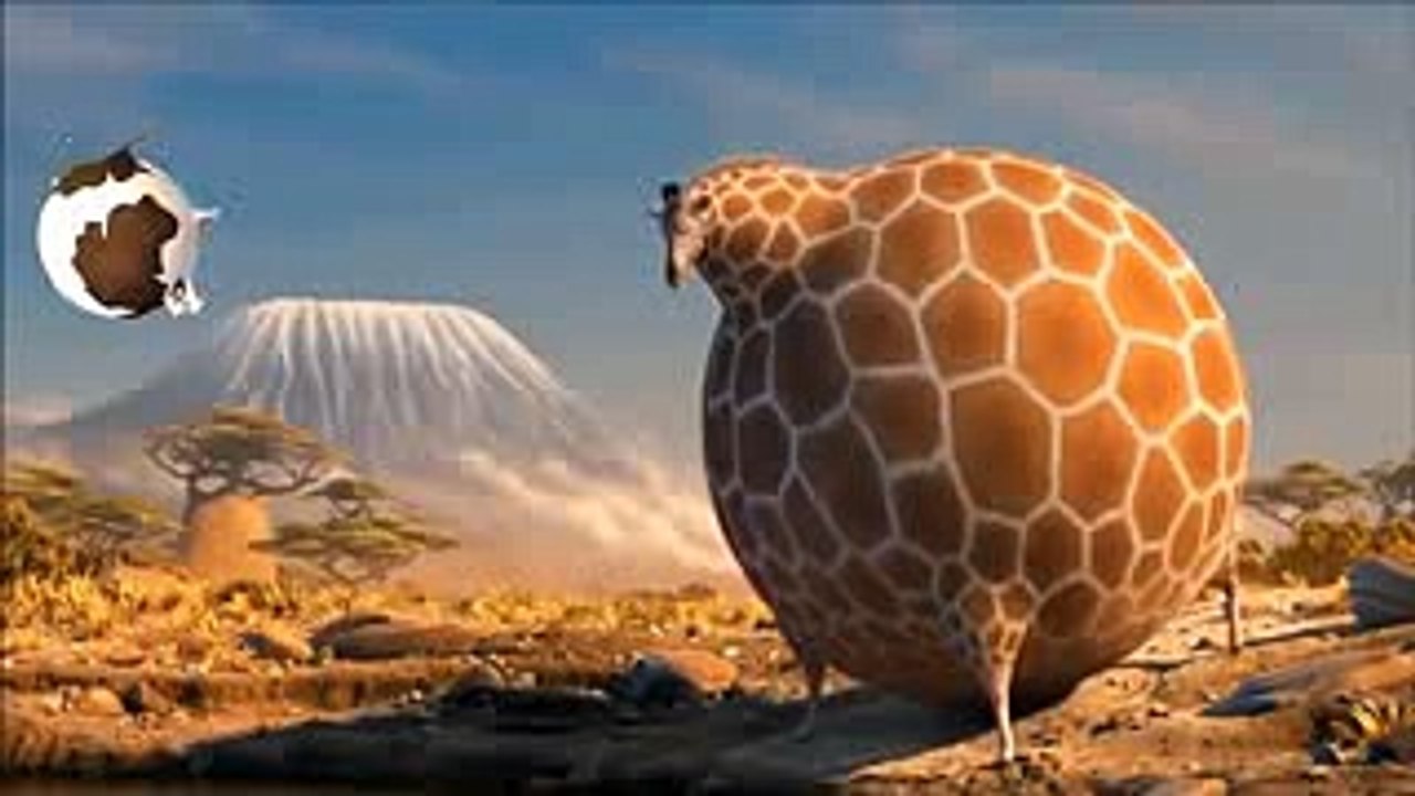 Phim hoạt hình 3d - hài hước con bò và động vật mập biết bay haha