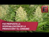 Zara Snapp habla de la legislación de la marihuana en el próximo gobierno