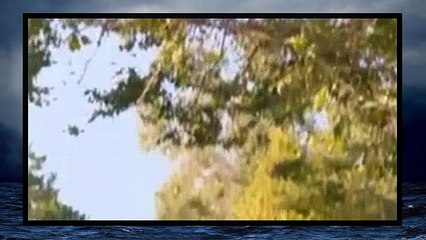 Happy Endings S02E02