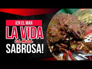 Oye al Chef | Programa Completo Episodio 16