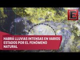 Tormenta tropical Carlotta se forma cerca de las costas de Guerrero