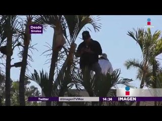 Llueven cuerpos en Sinaloa