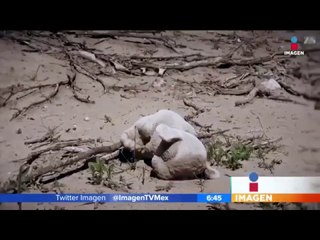 La fosa más grande de México está en este estado | Noticias con Francisco Zea