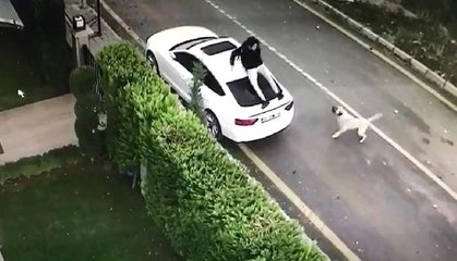 İnternet Fenomeninin Köpekle İmtihanı