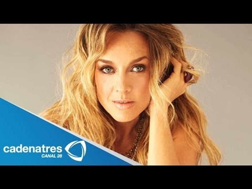 Fey se niega a hablar de su divorcio / Fey refuses to talk about her divorce