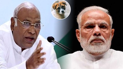 ಮಲ್ಲಿಕಾರ್ಜುನ ಖರ್ಗೆಯವರು ಬಿಜೆಪಿ ಹಾಗು ಮೋದಿ ಬಗ್ಗೆ ವಿವಾದಾತ್ಮಕ ಹೇಳಿಕೆ  | Oneindia Kannada