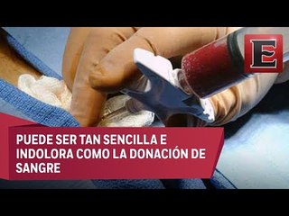 Lo que necesitas saber sobre la donación de médula ósea