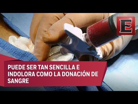 Lo que necesitas saber sobre la donación de médula ósea