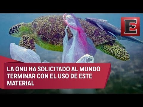 Cambio Climático: Uso del plástico y su impacto en el ambiente