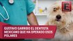 El dentista mexicano que operado desde perros hasta osos polares