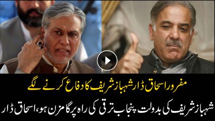 Punjab is on the path of development Due to Shahbaz Sharif: Ishaq Dar