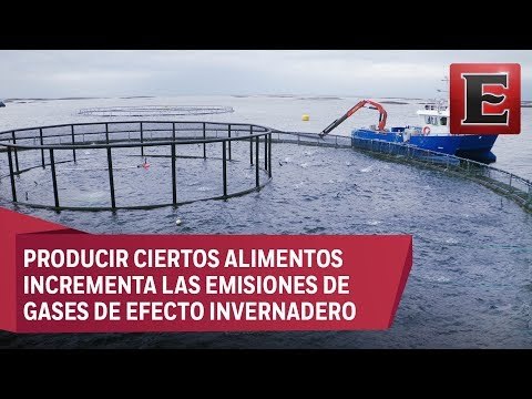 Cambio Climático: Impacto ambiental de la producción de alimentos