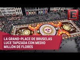México y Belgica, unidas por su tradición floral en Bruselas