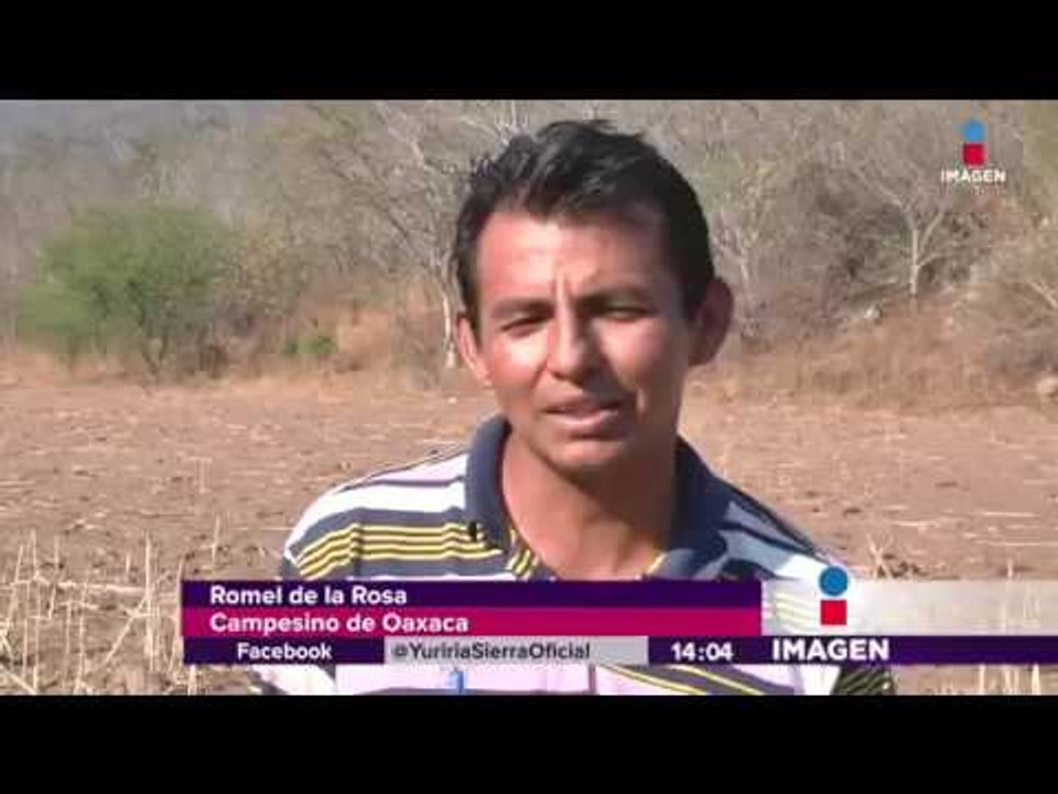 Campesinos mexicanos son contratados en EU