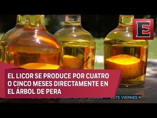 Cultivan licor de pera en Hidalgo