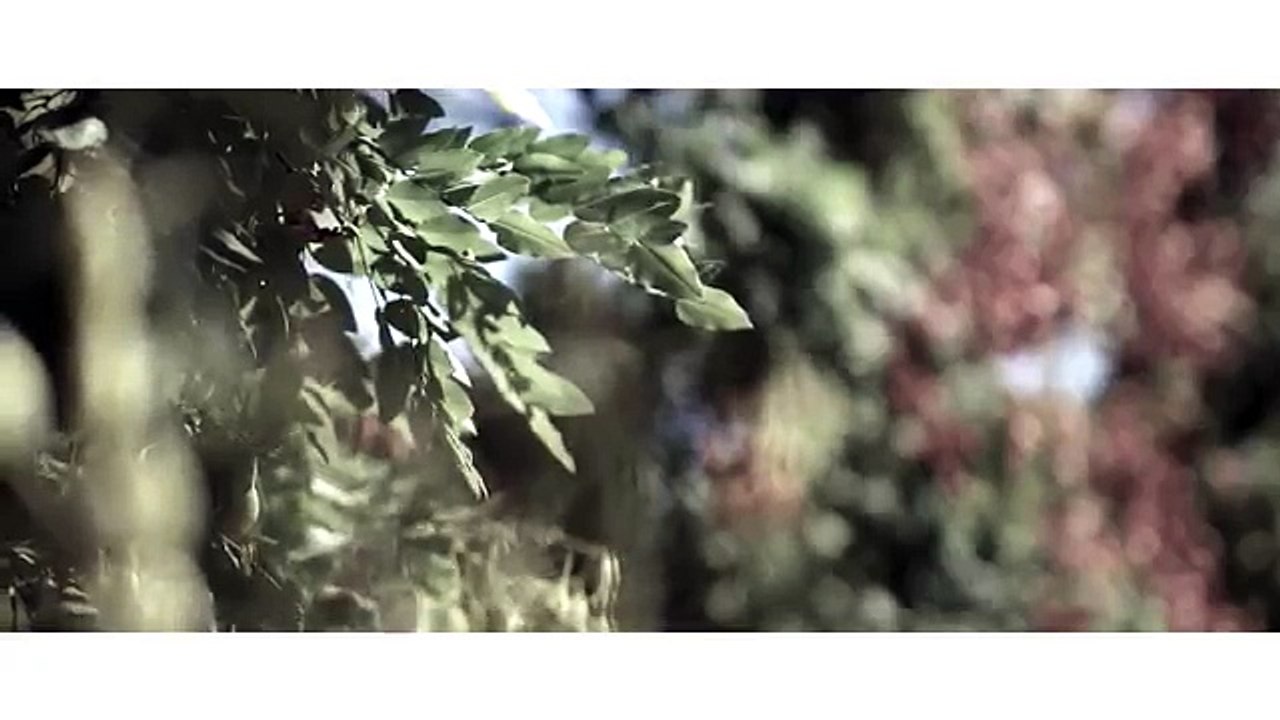 PV Nova & Clara Doxal - L'autre Finistère [Les Innocents]