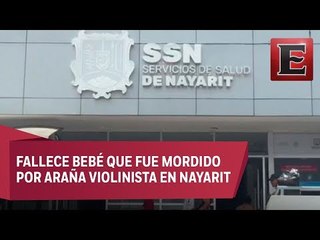 Muere Kevin, niño mordido por araña violinista en Nayarit