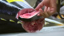 Japon: dernières enchères au marché aux poissons de Tsukiji