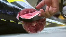 Japon: dernières enchères au marché aux poissons de Tsukiji
