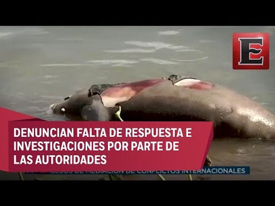 Emergencia en el Edén: indignación por muerte d...
