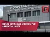 Último adiós a Kevin, el bebé picado por araña violinista en Nayarit