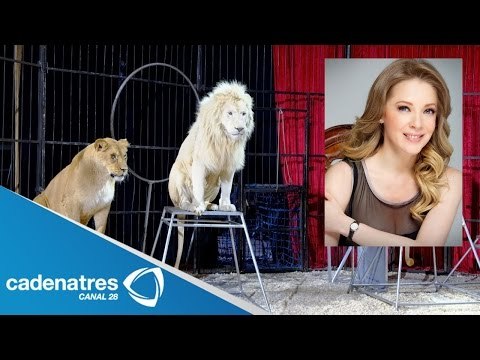 Edith González opina sobre ley de prohibición de animales en circos