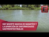 Autoridades sin actuar en contaminación de lagunas en Tabasco