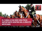 La importancia de la caballería armada del Ejército Nacional