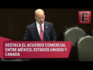 González Anaya comparece ante la Cámara de Diputados