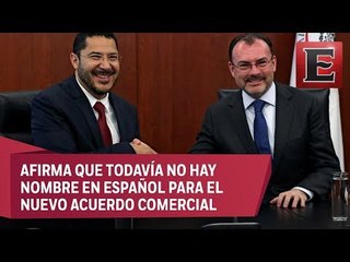 Luis Videgaray acude al Senado por USMCA