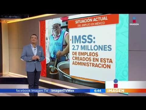 Así está la situación del empleo en México | Noticias con Francisco Zea