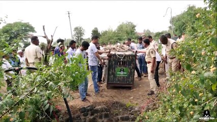 Leopard rescued from drowning in deep well in India