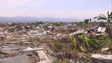 인도네시아 당국 "1,000명 이상 실종 추정" / YTN