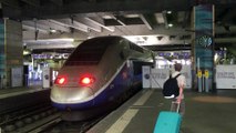 TGV 29000 ( Duplex ) - LGV Atlantique - Paris  Montparnasse