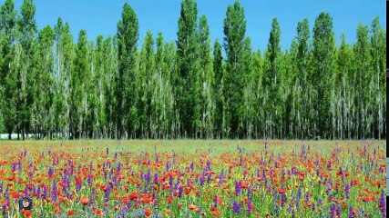 Aglatan Yürekler  Yakan Türküler -  2017 Mix