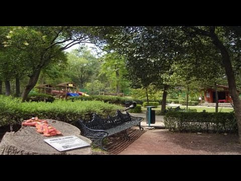 Vacacionando en el Parque Hormiga, Chapultepec | Noticias con Francisco Zea