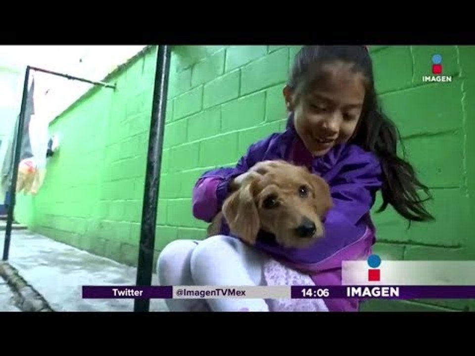 Dibujo de perrito perdido se hizo viral y lo encuentran | Noticias con Yuriria Sierra