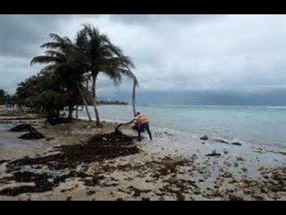 Franklin pasa por Veracruz y se dirige al centro del país | Noticias con Yuriria Sierra