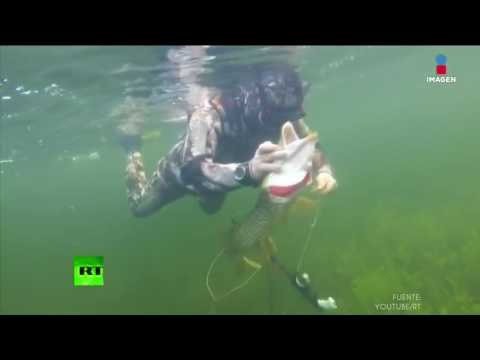 Seguro nunca has disfrutado tus vacaciones tanto como Vladimir Putin | Qué Importa