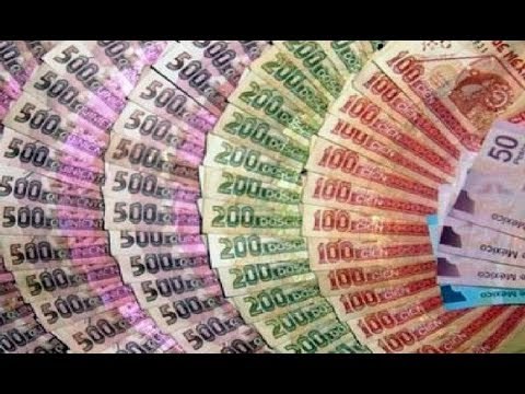 México pierde millones de pesos por culpa de estas personas | Noticias con Francisco Zea