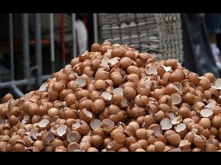 Bélgica prepara omelette gigante | Noticias con Yuriria Sierra