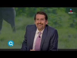 Cámara en forma de excremento persigue a elefantes | Qué Importa