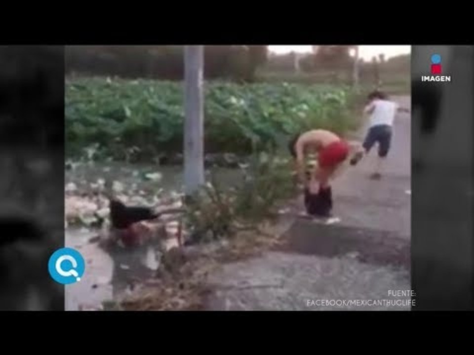 Le bajan los pantalones y su amigo termina embarrado | Final feliz | Qué Importa