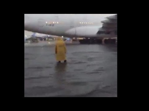 Fuertes lluvias afectan aeropuerto de CDMX | Noticias con Francisco Zea