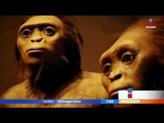 Museo Universum ¿vale la pena llevar a tus hijos ahí? | Noticias con Francisco Zea