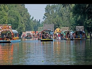 "El Ojos" sigue presente en Xochimilco | Noticias con Francisco Zea